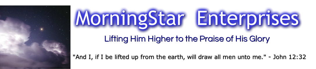 MorniningStar Enterprises